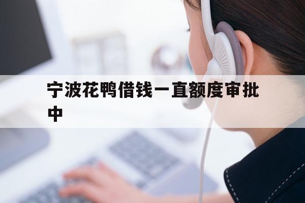 宁波花鸭借钱一直额度审批中
